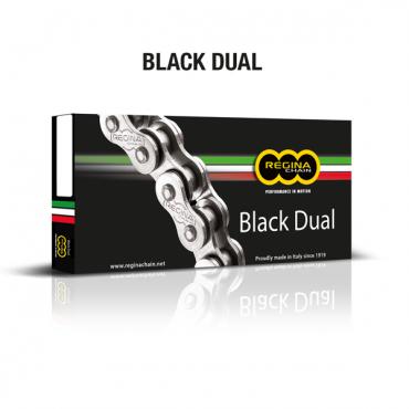 REGINA Z-ring chain 525-ZRA 100 open+rivet